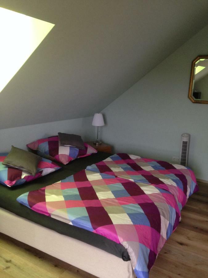 Loreley Bed And Breakfast Bornich 외부 사진